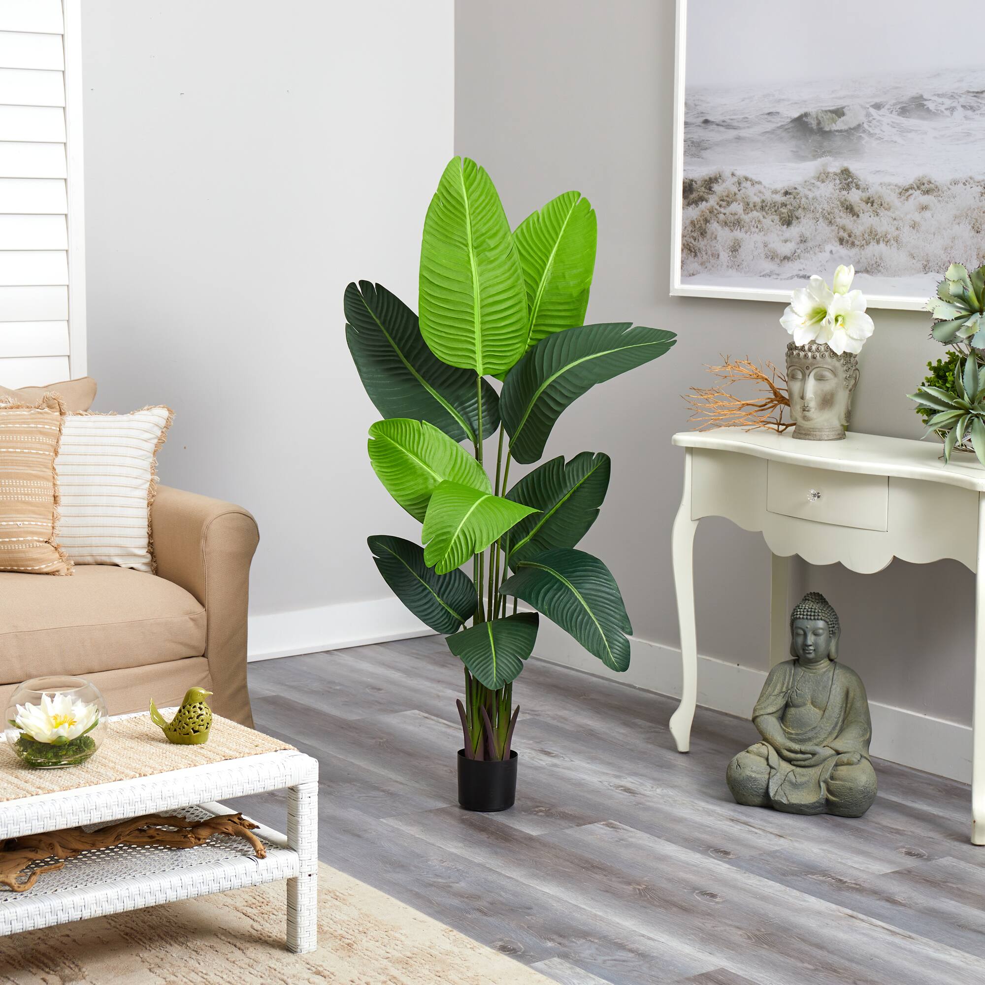 5ft. Potted Travelers Palm Tree